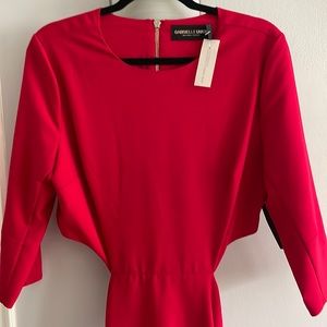 Fuchsia Cut out Back zip dress